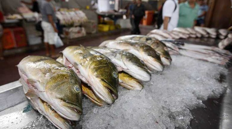 Vigilância Sanitária emite recomendação para a compra de pescados em Sorriso