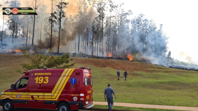 Avião cai em área de mata e sete pessoas morrem