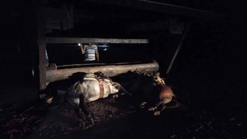 Raio cai em fazenda de Barra do Garças matando 2 pessoas e animais