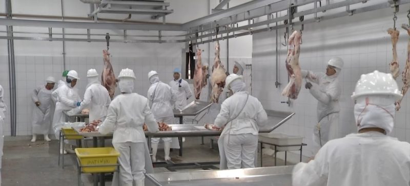 Embargo da carne bovina pela China gera prejuízo na ordem de US$ 18 milhões em MT