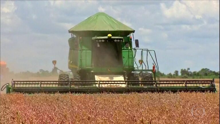 Temporada de colheita de soja gera empregos e movimenta setor do transporte em MT