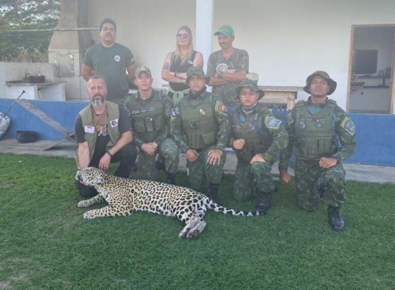 Batalhão Ambiental da PM participa de resgate de onça-pintada em MT