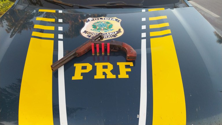 PRF apreende drogas e armas na BR-163