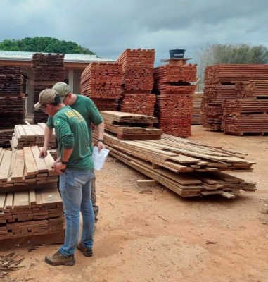 Madeireiro é detido em Sinop suspeito de fraudar guias florestais