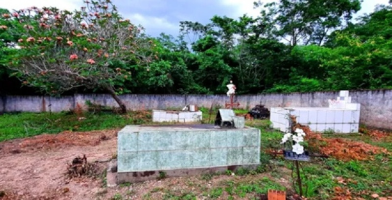 Homem encontra cemitério clandestino em terreno herdado em MT; veja vídeo