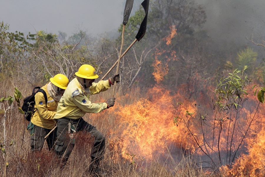 Ibama abre processo seletivo com 95 vagas para combate a incêndios em MT