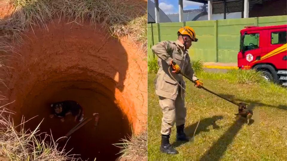 Bombeiros resgatam cachorro após cair em fossa em Sorriso