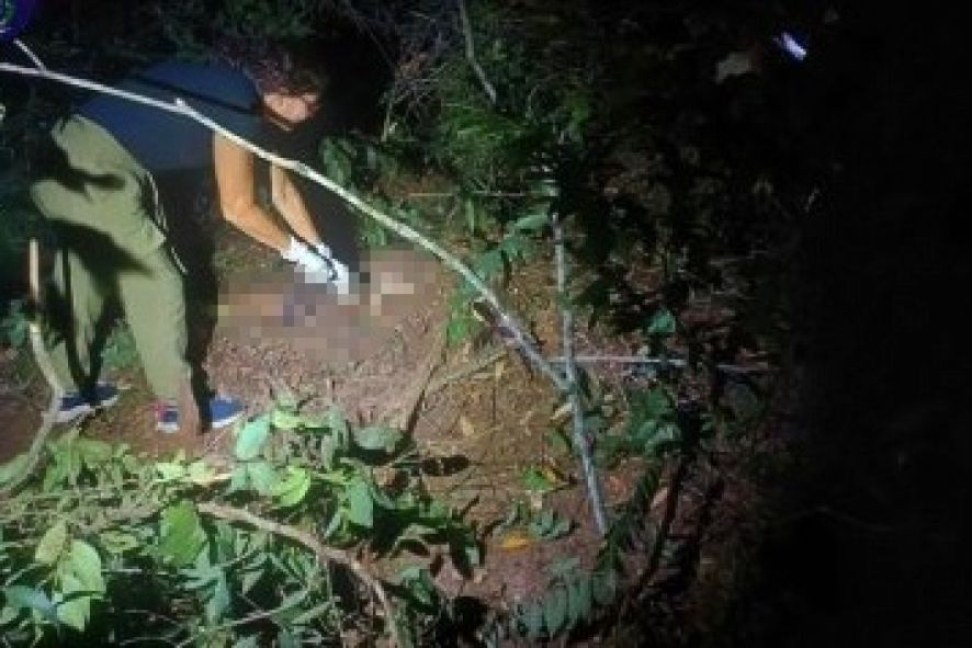 Homem de 24 anos mata a ex-sogra e esconde corpo em matagal em MT