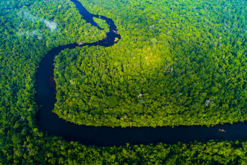 Decisão da justiça de MT em anular criação de parque pode agravar crise climática, alerta carta na Science