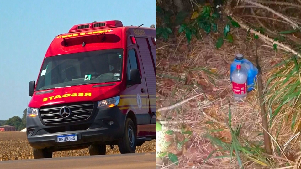 Trabalhador rural é encontrado morto em mata em Lucas do Rio Verde