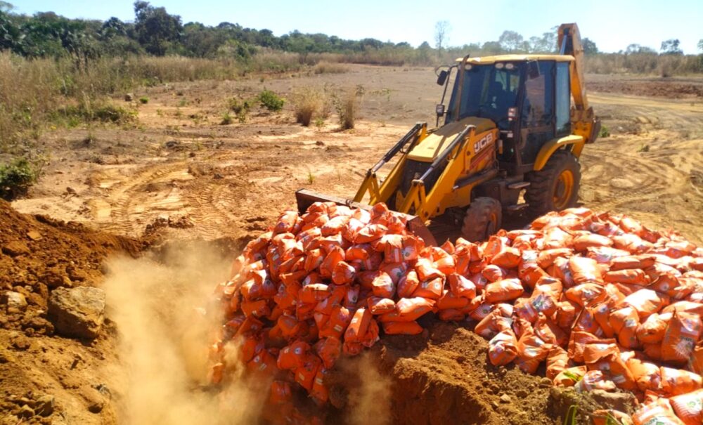 Mais de quinze toneladas de sementes irregulares apreendidas em fiscalização do Indea são destruídas em MT