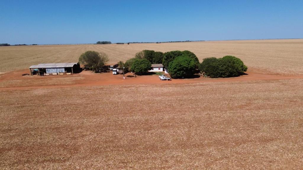 MT Par leiloa área de 2,4 mil hectares em Diamantino pronta para plantio