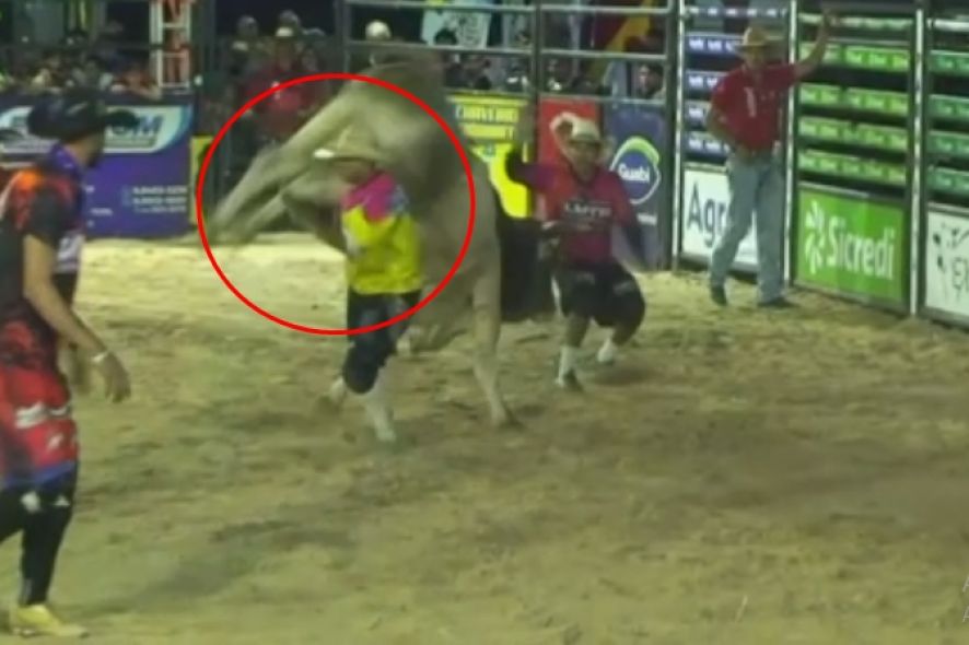 Vídeo registra momento que salva-vidas é atingido por touro em rodeio em MT e desmaia