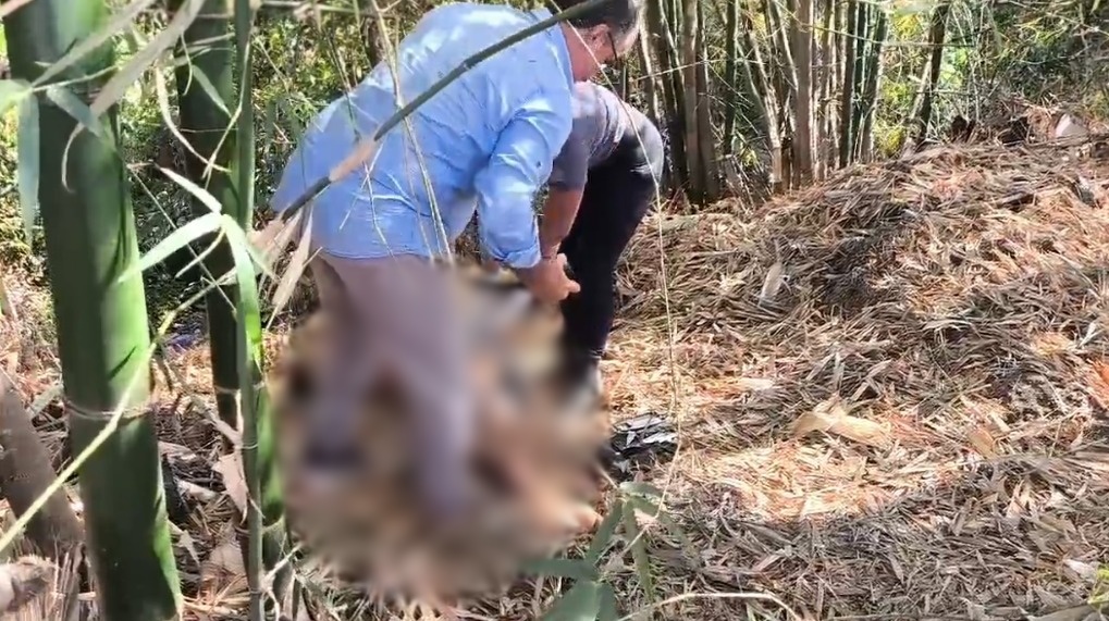 Corpo é encontrado com sinais de violência às margens de Lagoa em Sinop