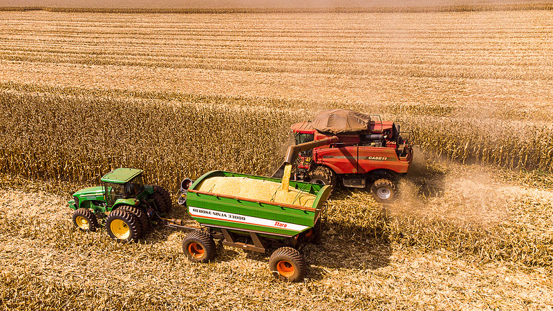 Sorriso, Sapezal, Nova Ubiratã e Campo Novo dos Parecis lideram produção agrícola em Mato Grosso, aponta IBGE