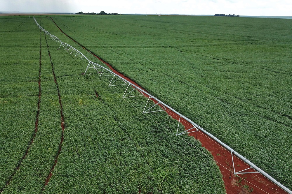 Preços dos fertilizantes em alta preocupa produtores