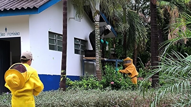 Corpo de Bombeiros remove enxame de abelhas que estava em telhado de banheiro de Parque Municipal