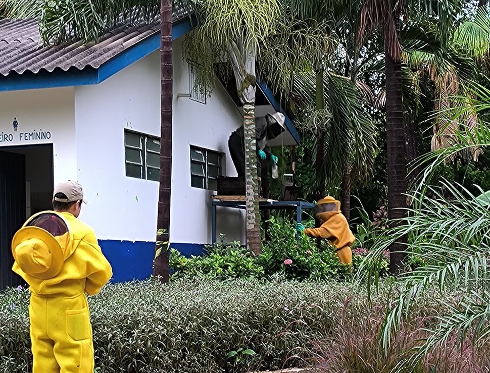 Corpo de Bombeiros remove enxame de abelhas que estava em telhado de banheiro de Parque Municipal