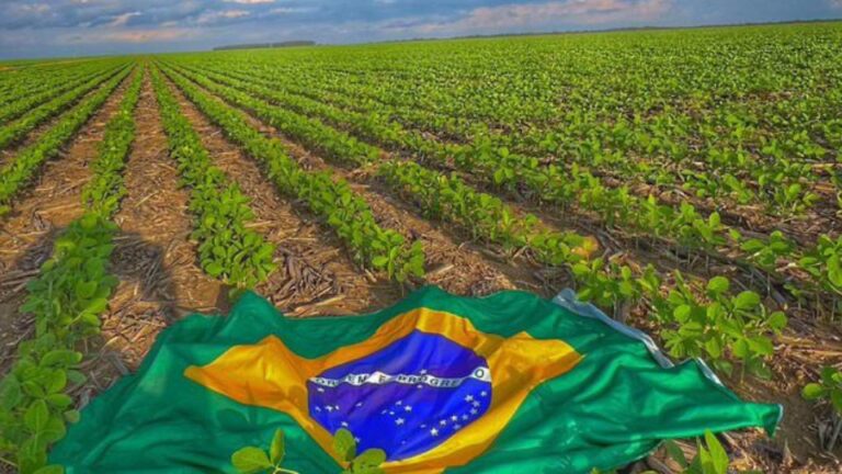 Alta do dólar impulsiona exportações, mas pressiona custos no agro de MT