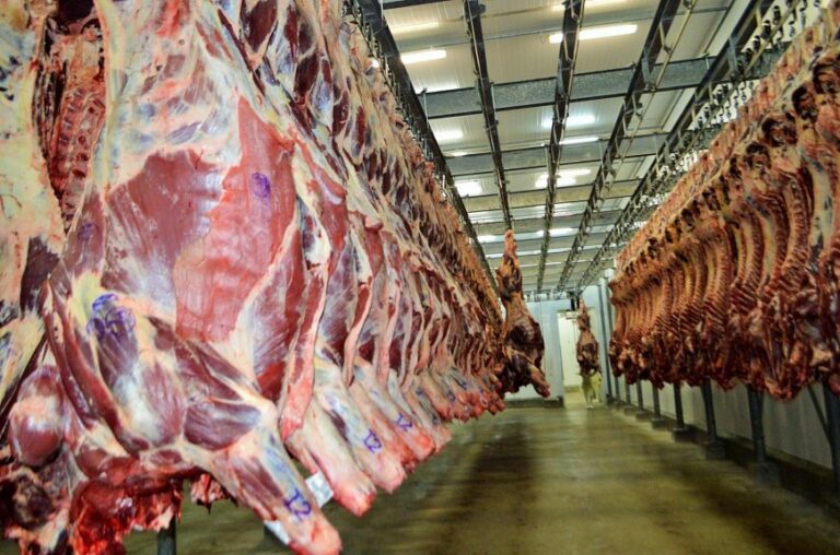 Preço da carne bovina dispara em Mato Grosso e preocupa consumidores