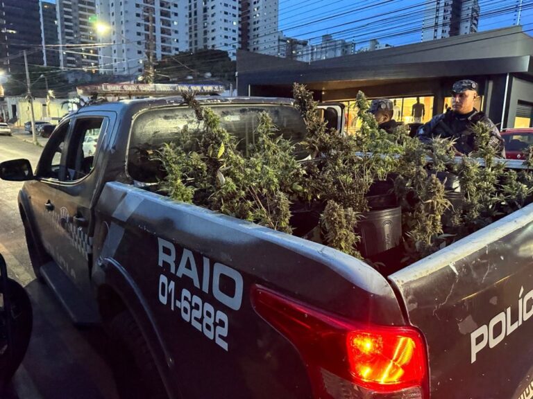 Arquiteto é preso por plantar e vender maconha em Cuiabá